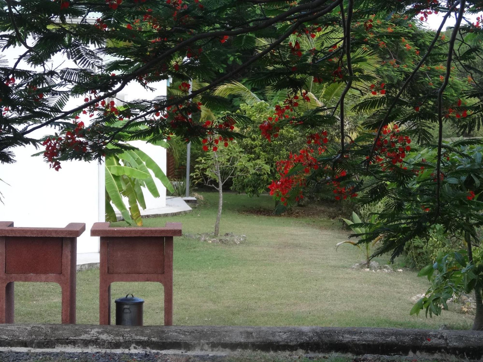 Gite Zandoli Koko Sainte-Anne  Ngoại thất bức ảnh